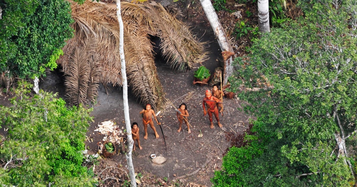 Survival of Uncontacted Indigenous Peoples Faces Growing Threat