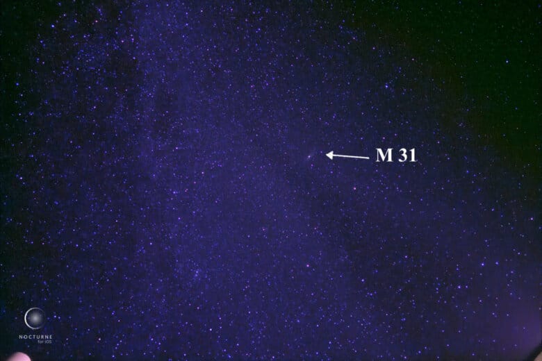 November 2025 Sky Highlights: Leonid Meteor Shower and Full Hunter’s Supermoon