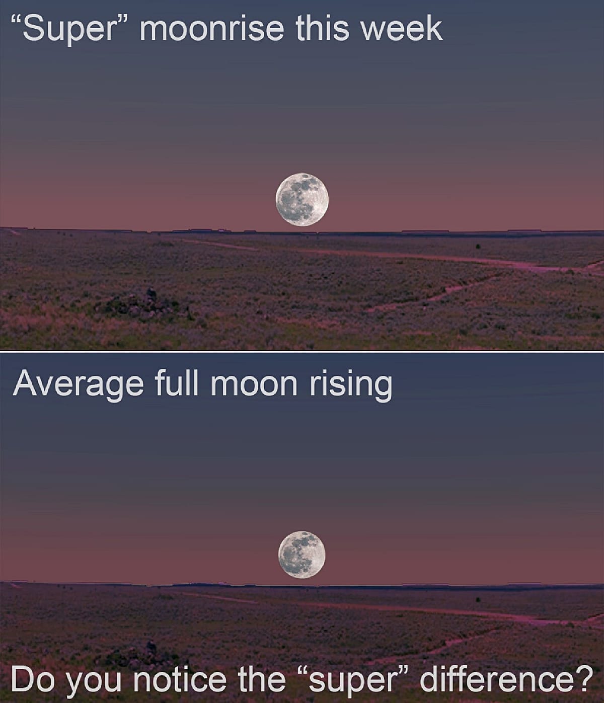Prepare to Spot the Year's Largest Full Moon, Says Astronomer Dennis Mammana