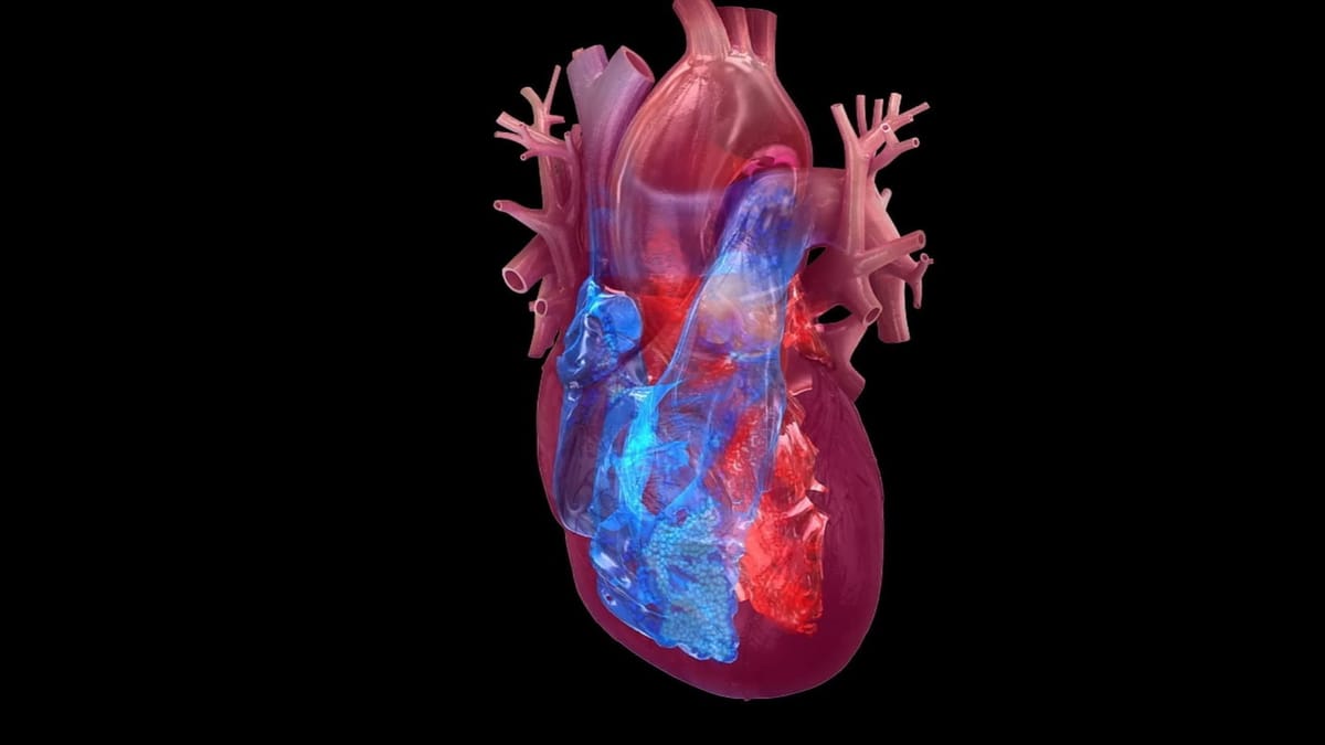 Scientists Leverage Smartwatch Data and AI to Detect Early Heart Damage