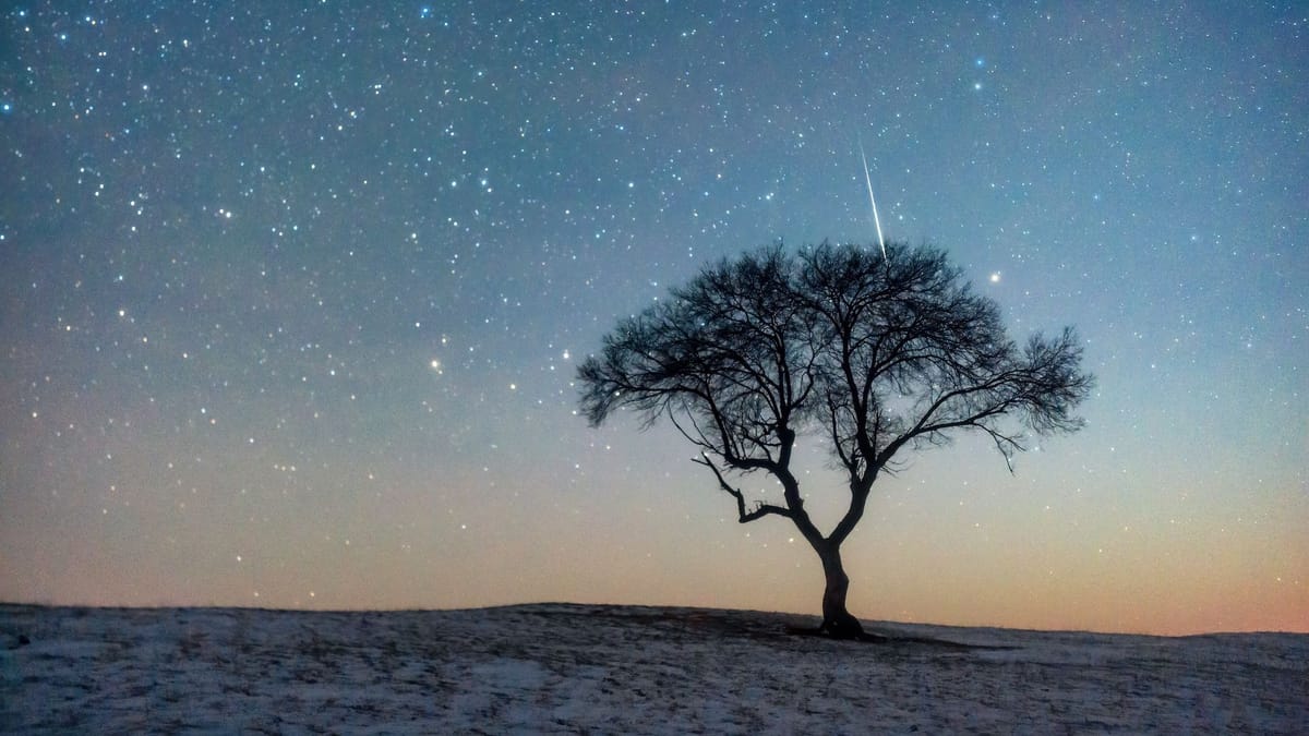 Leonid Meteor Shower Peaks This Week, Offering One of the Best Shows in Years