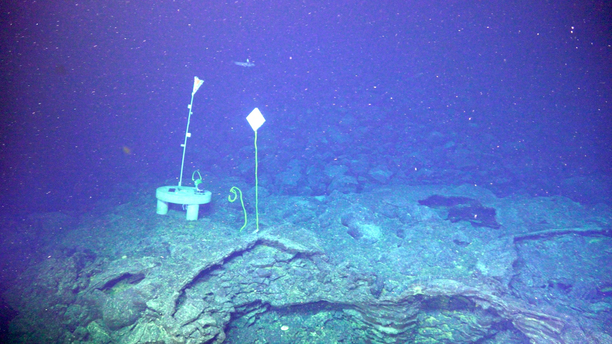 Scientists Predict Axial Seamount May Erupt Between Mid‑2026 and Late‑2026