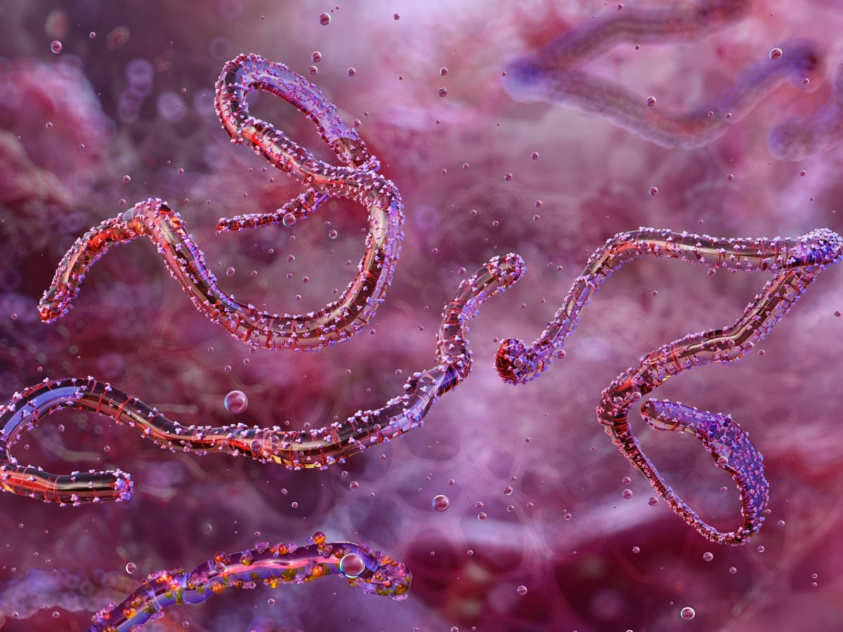 Ethiopia Reports First Marburg Virus Outbreak, WHO Mobilizes Response