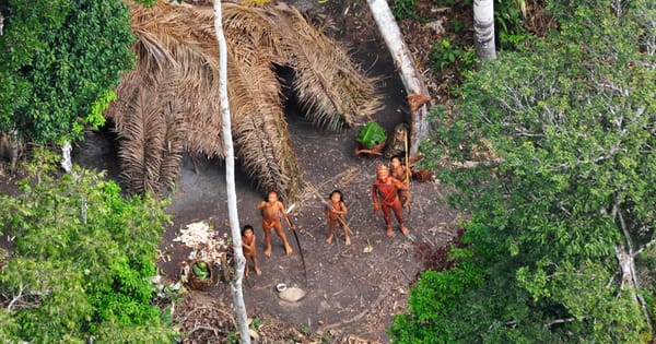 Survival of Uncontacted Indigenous Peoples Faces Growing Threat