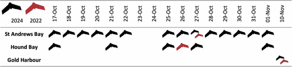 Highly Pathogenic Avian Influenza Linked to Sharp Decline in Southern Elephant Seals at South Georgia