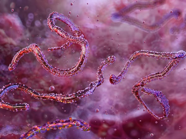 Ethiopia Reports First Marburg Virus Outbreak, WHO Mobilizes Response