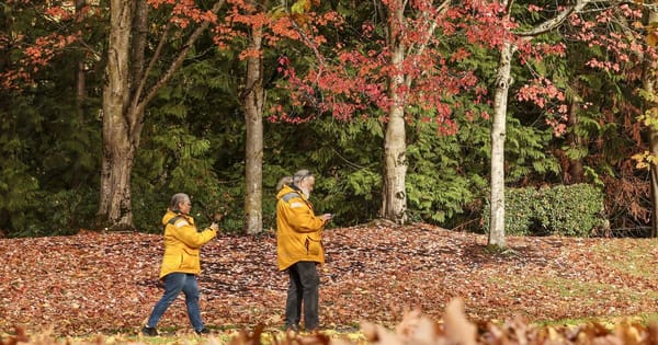 Meteor Shower Expected Over Seattle Tuesday Night as Rain Breaks