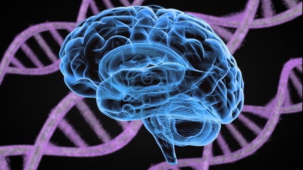 Major Study Finds Five Shared Genetic Factors Across 14 Psychiatric Disorders